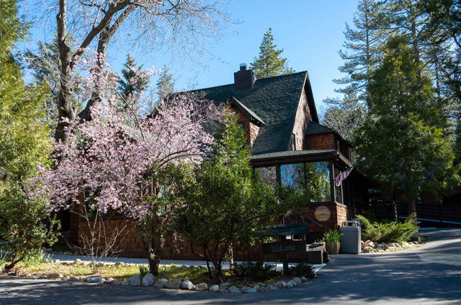 Strawberry Creek Inn with Spring Flowers
