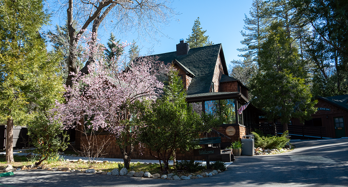Strawberry Creek Inn with Spring Flowers