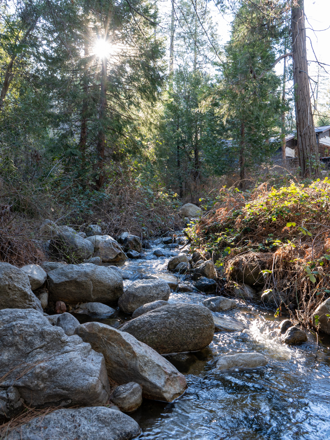 Strawberry Creek during the spring in Idyllwild California