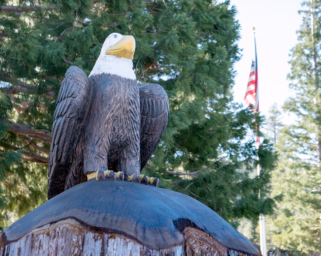 Carved wooden bald eagle on a tree stump at Idypark, with the flag behind