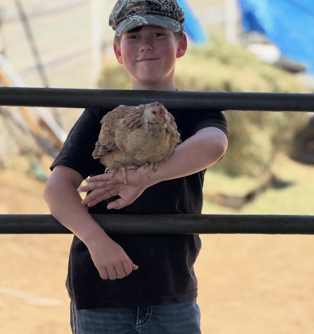 Petting Zoo at Idyllwild Inn for Father's Day Weekend