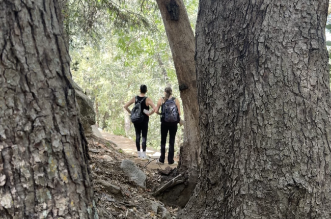 Two hikers on a trail in Idyllwild, California