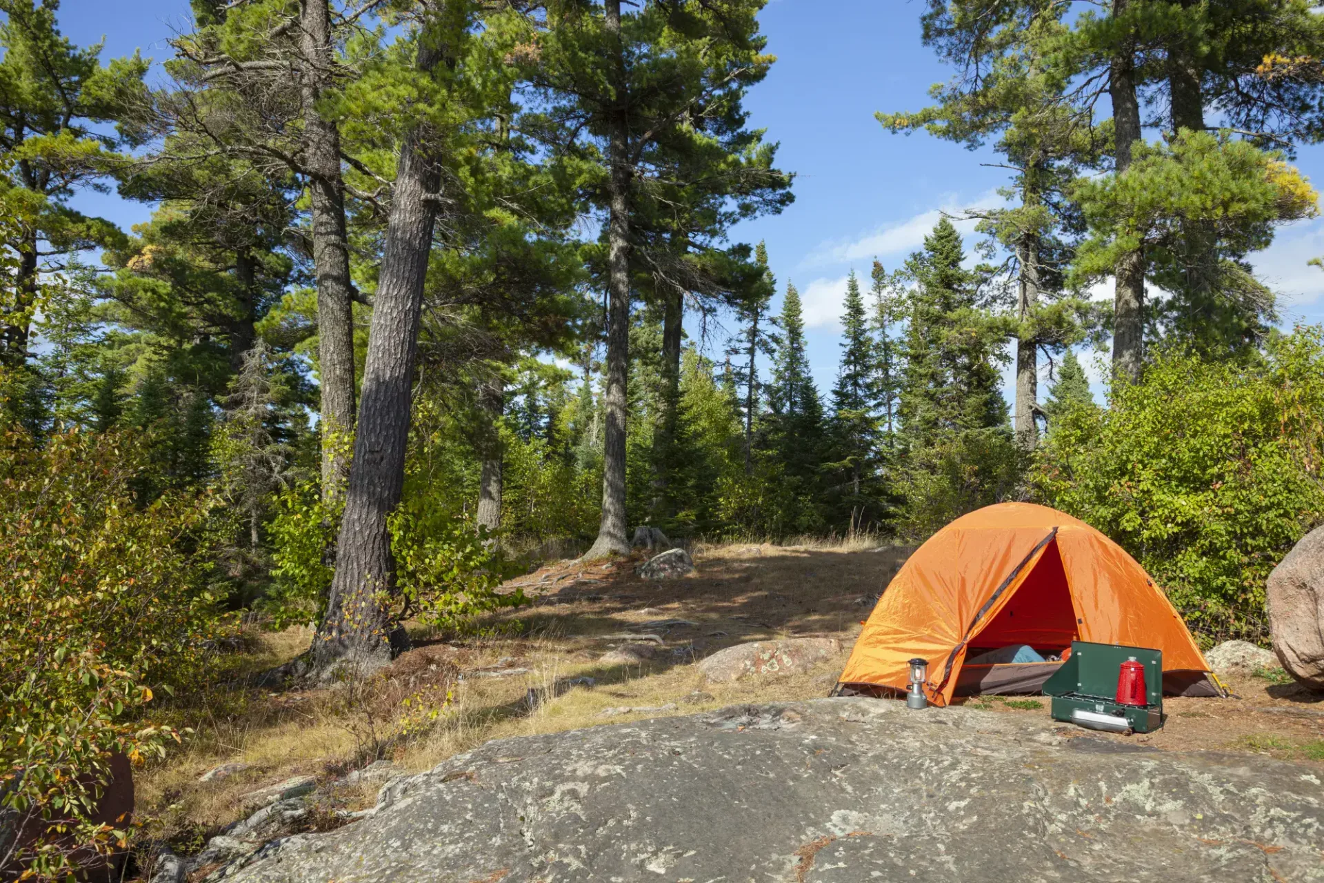 An orange tent pitched under tall pines at a forest campsite, blue sky above